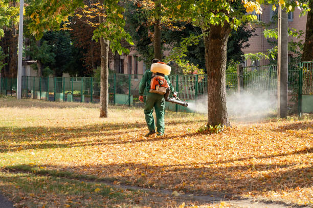 Best Rat Extermination Near Me  in Pinehurst, ID