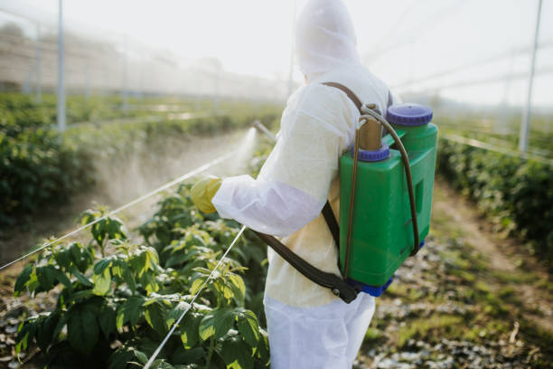 Best Emergency Pest Control  in Pinehurst, ID